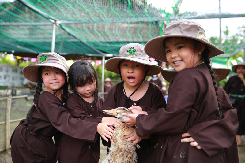 Hãy giáo dục trẻ về lòng nhân ái và tình thương cho trẻ